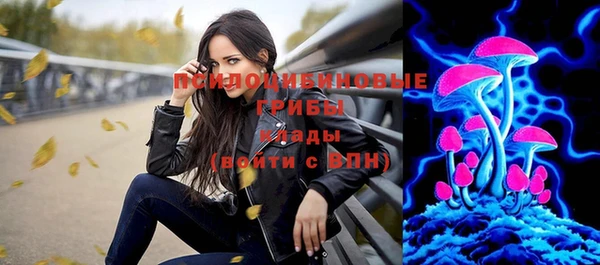 spice Абинск