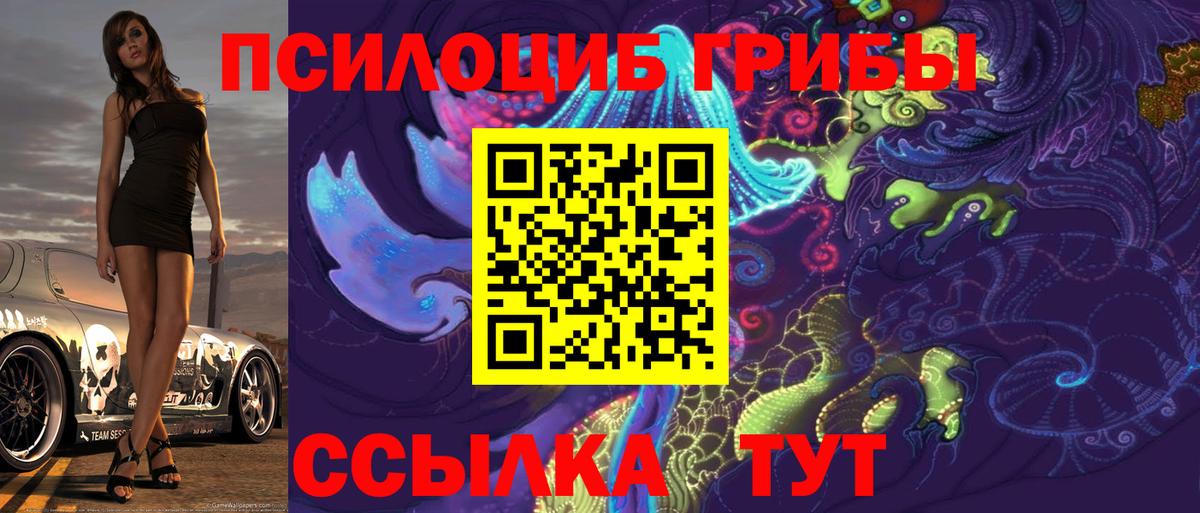 Псилоцибиновые грибы мухоморы Тавда