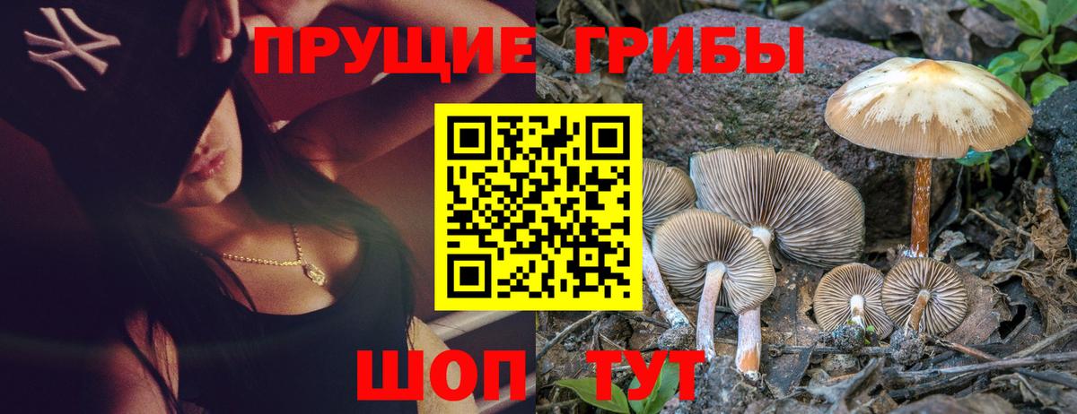 Псилоцибиновые грибы мицелий  Вход с VPN  Тавда 